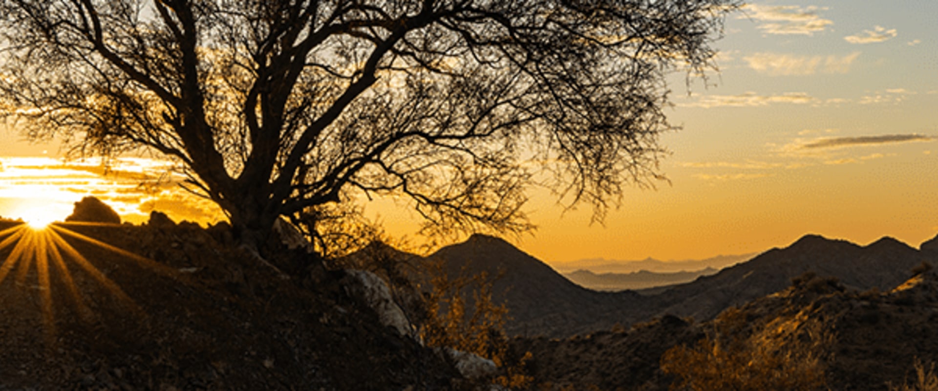 The Ultimate Guide to San Tan Valley Movers